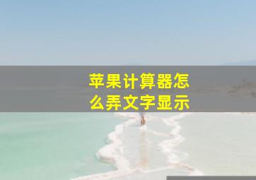 苹果计算器怎么弄文字显示