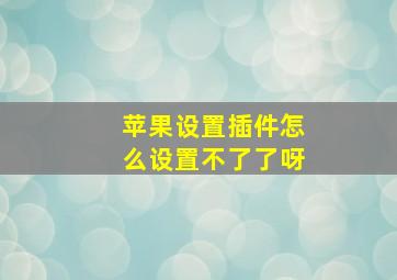 苹果设置插件怎么设置不了了呀