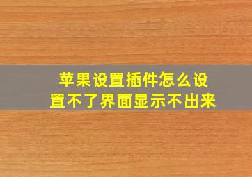 苹果设置插件怎么设置不了界面显示不出来