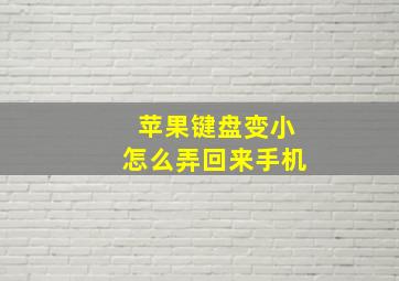 苹果键盘变小怎么弄回来手机