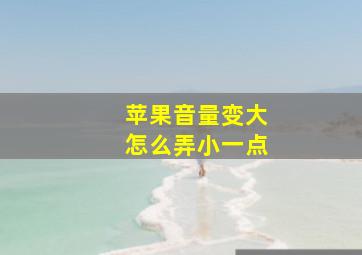 苹果音量变大怎么弄小一点