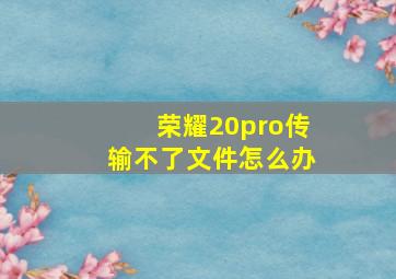 荣耀20pro传输不了文件怎么办