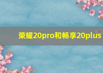 荣耀20pro和畅享20plus