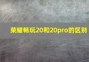 荣耀畅玩20和20pro的区别