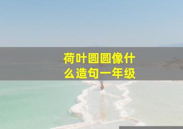 荷叶圆圆像什么造句一年级