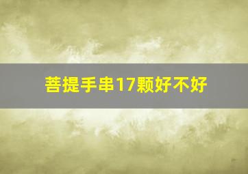 菩提手串17颗好不好