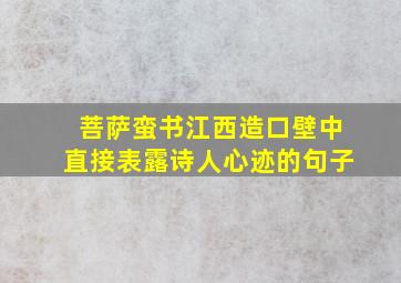 菩萨蛮书江西造口壁中直接表露诗人心迹的句子