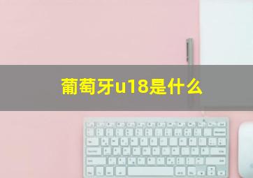 葡萄牙u18是什么