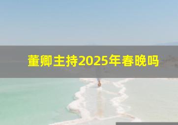 董卿主持2025年春晚吗