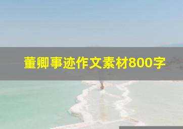 董卿事迹作文素材800字