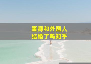 董卿和外国人结婚了吗知乎