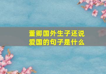 董卿国外生子还说爱国的句子是什么