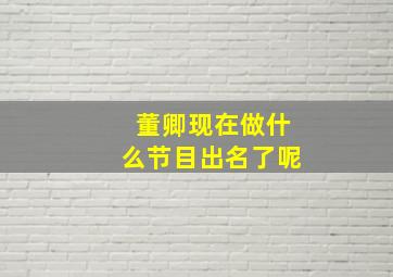 董卿现在做什么节目出名了呢