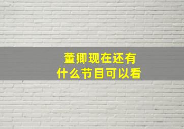 董卿现在还有什么节目可以看