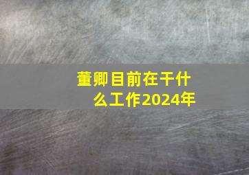 董卿目前在干什么工作2024年