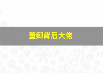 董卿背后大佬