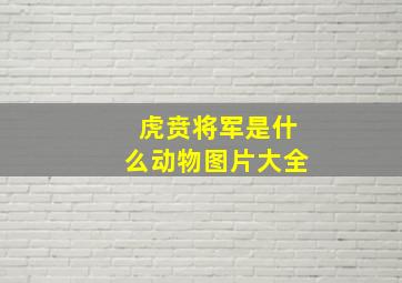 虎贲将军是什么动物图片大全