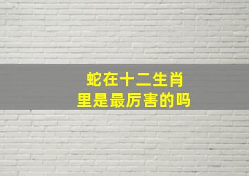 蛇在十二生肖里是最厉害的吗