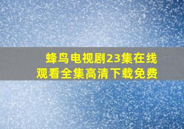 蜂鸟电视剧23集在线观看全集高清下载免费