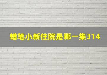 蜡笔小新住院是哪一集314