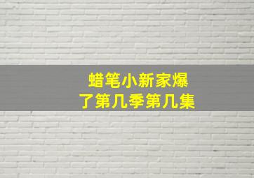 蜡笔小新家爆了第几季第几集