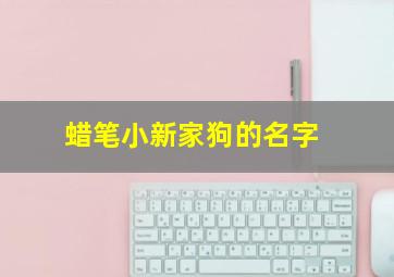 蜡笔小新家狗的名字