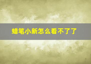 蜡笔小新怎么看不了了