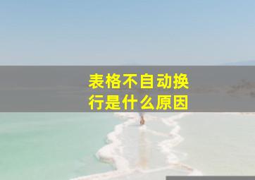 表格不自动换行是什么原因