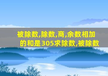 被除数,除数,商,余数相加的和是305求除数,被除数