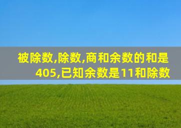 被除数,除数,商和余数的和是405,已知余数是11和除数