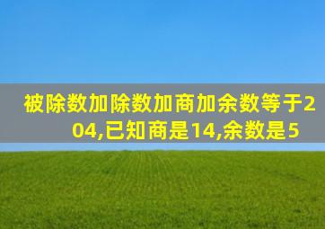 被除数加除数加商加余数等于204,已知商是14,余数是5