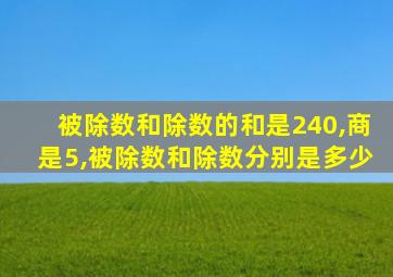 被除数和除数的和是240,商是5,被除数和除数分别是多少