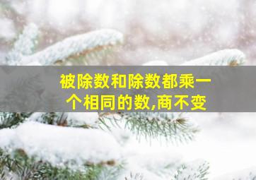 被除数和除数都乘一个相同的数,商不变