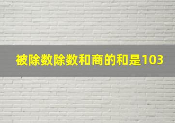 被除数除数和商的和是103