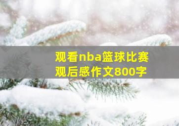 观看nba篮球比赛观后感作文800字