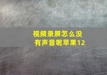 视频录屏怎么没有声音呢苹果12