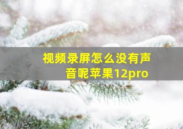 视频录屏怎么没有声音呢苹果12pro