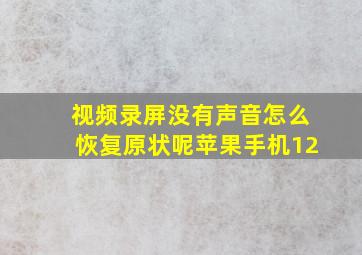 视频录屏没有声音怎么恢复原状呢苹果手机12