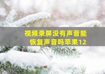 视频录屏没有声音能恢复声音吗苹果12