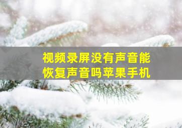 视频录屏没有声音能恢复声音吗苹果手机