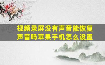 视频录屏没有声音能恢复声音吗苹果手机怎么设置