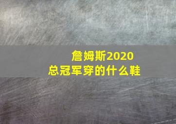 詹姆斯2020总冠军穿的什么鞋