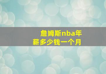 詹姆斯nba年薪多少钱一个月