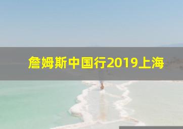 詹姆斯中国行2019上海