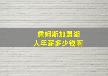 詹姆斯加盟湖人年薪多少钱啊