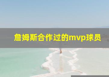 詹姆斯合作过的mvp球员