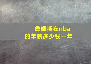 詹姆斯在nba的年薪多少钱一年