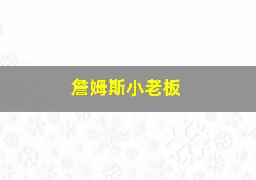 詹姆斯小老板