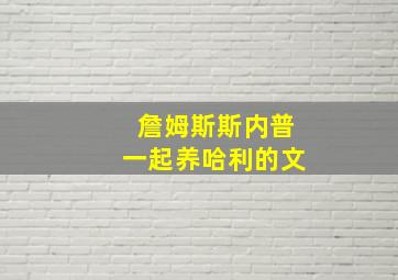 詹姆斯斯内普一起养哈利的文