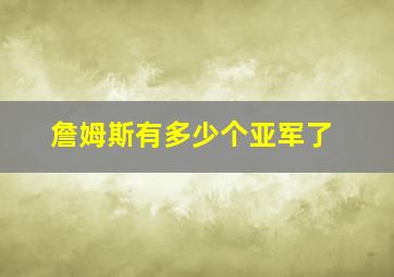 詹姆斯有多少个亚军了